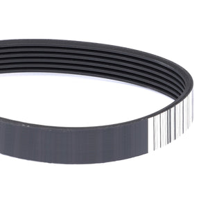 AGCO | Serpentine Belt, Pk6 Profile - 4286263M1 - Farming Parts