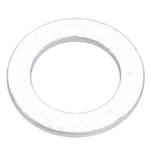 AGCO | Seal Washer, Turbo Clutch, Pto | AG-X540004301000
