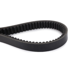 The AGCO Drive V Belt, Variator - D26746996 by AGCO features a black rubber construction with evenly spaced teeth arranged in a loop shape to ensure optimal performance and noise reduction.