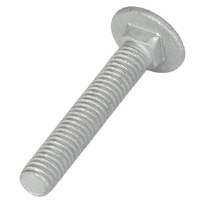 A close-up view of the AGCO Round Head Square Neck Carriage Bolt - Acw1513550 showcases its glistening silver finish, smooth round head, and intricately threaded shaft.