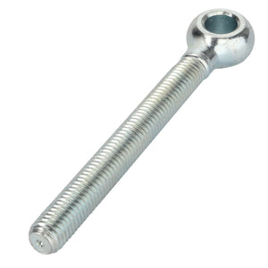 The AGCO | EYE BOLT - 0903-34-48-00 is a durable metal eye bolt featuring a threaded shaft and a robust circular loop at the end.