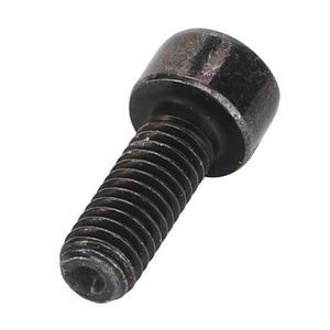 Introducing the AGCO | Socket Head Setscrew - Acw0937960 by AGCO: a black metal hex socket cap screw featuring a cylindrical head and a threaded shaft.