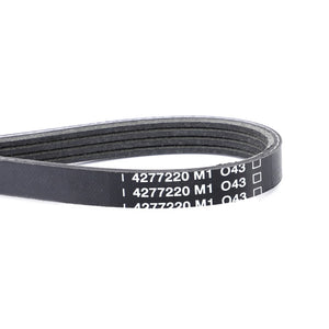 AGCO | Serpentine Belt, Pk4 Profile | AG-4277220M1