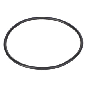 AGCO | PISTON O-RING - AG708581