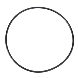 AGCO | O-Ring | AG-X548979001000