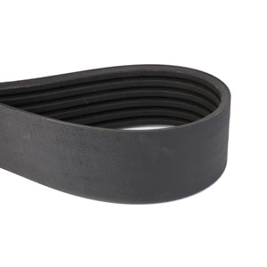 Image of the AGCO | BELT - D41990064, a black, ribbed serpentine belt commonly used in automotive engines for driving multiple peripheral devices. No current product description information is available.