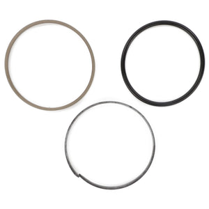 Three round sealing rings in various materials and colors, part of the AGCO SEAL KIT for the Hydraulic Lift Cylinder (F931860030060), are displayed side by side on a white background.