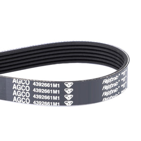 AGCO | Serpentine Belt, Pk6 Profile - 4392661M1 - Farming Parts