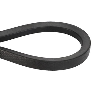 A close-up view of the AGCO | BELT - D41985900, a black rubber V-belt arranged in a loop against a white background.