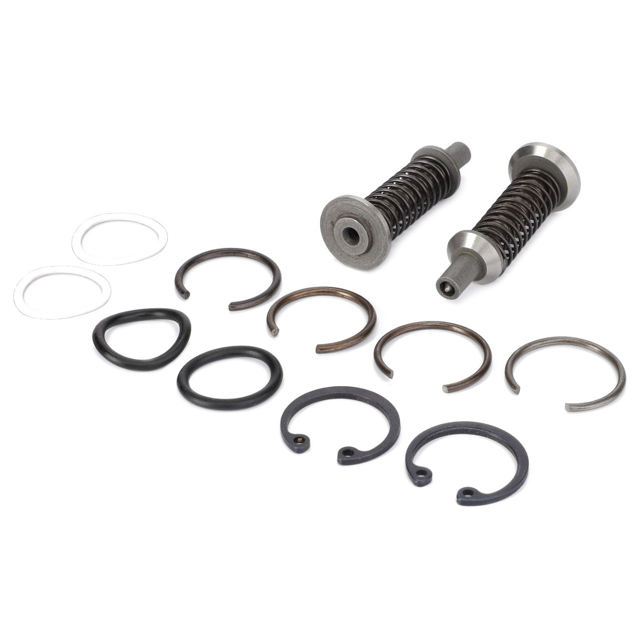 A set of mechanical components, including two valve springs, various circular retaining rings, and washers arranged on a white background. Ideal for Massey Ferguson Models or Fendt Models, these components ensure reliability with the AGCO Hydraulic Pump Seal Kit (1810678M91), featuring genuine AGCO Parts seals and gaskets.