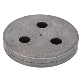 Product Description: The AGCO | LOCK PLATE - CH160-5223 by AGCO is a round, flat metallic disc featuring three evenly spaced circular holes.