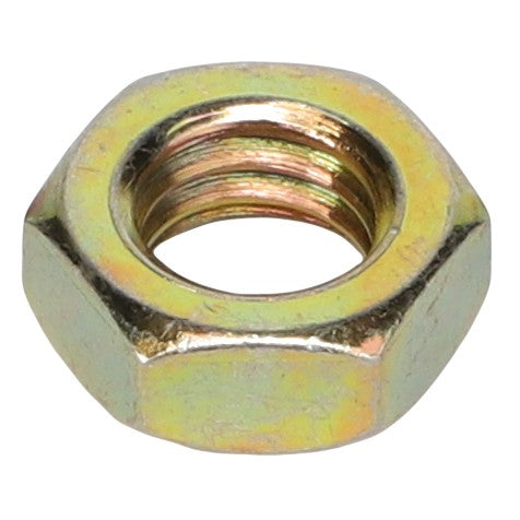 AGCO | HEX JAM NUT - AG561659