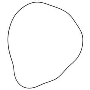 AGCO | O-Ring, Axle Housing | AG-X549045400000