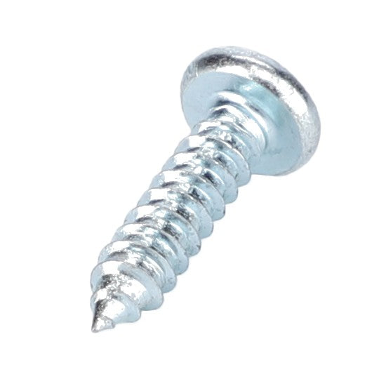 AGCO | Screw | AG-X493812305000