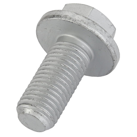 A close-up image of the AGCO Round Head Square Neck Carriage Bolt (Va020733) in silver metal, featuring a wide flat head and a threaded shaft.