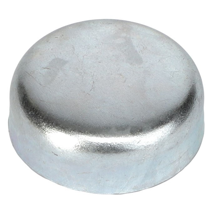 A metallic cap with a smooth, rounded surface and no visible markings or features, reminiscent of the polished design seen in AGCO machinery, such as the Plug - 731999M1.