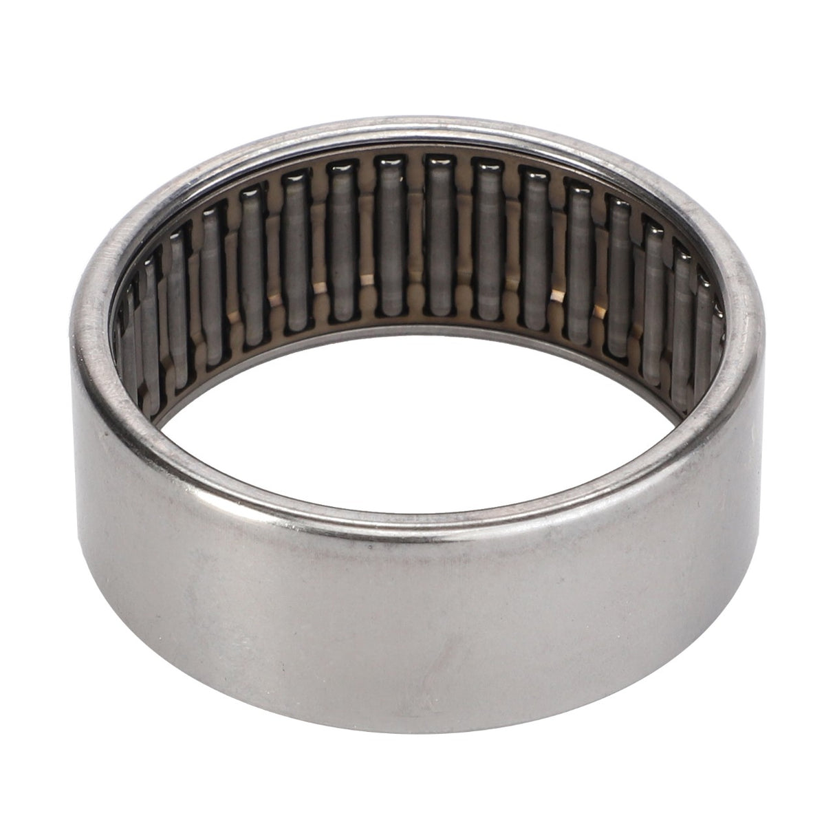 AGCO | Needle Roller Bearing - D41669800