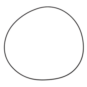 AGCO | O-Ring, Ø 170 X 2 Mm | AG-X549024000000
