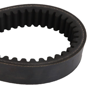 Close-up of an AGCO | BELT - D41994900, an industrial rubber timing belt from the AGCO brand, featuring evenly spaced teeth. The belt is meticulously arranged in a circular shape.