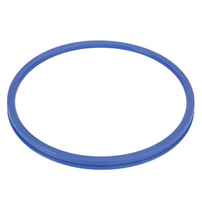 An AGCO Oil Seal - 3429169M1, a blue circular rubber gasket ring ideal for Massey Ferguson models, sits against a white background.