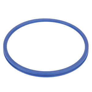 An AGCO Oil Seal - 3429169M1, a blue circular rubber gasket ring ideal for Massey Ferguson models, sits against a white background.