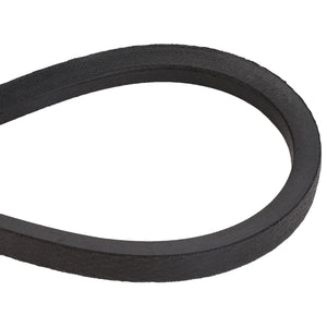 A close-up view showcases the AGCO | BELT - D41924900, a black rubber V-belt by AGCO, in a looped formation. No current product description information available.