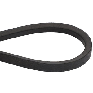 AGCO | BELT - D41905600