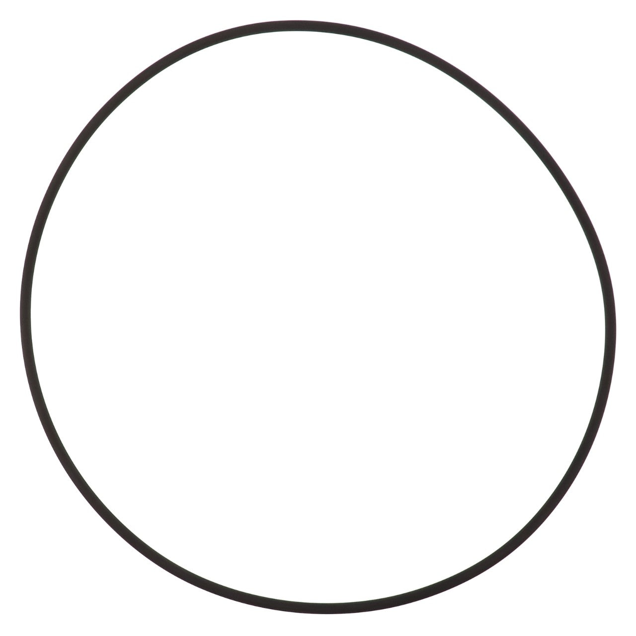 No current product description available, but imagine the AGCO | O-Ring - Acp0368960, a simple black circle on a white background.