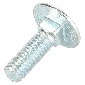 Close-up of the AGCO CARRIAGE BOLT - D46150436, featuring a shiny, silver finish with a smooth, round head and threaded shaft, positioned at a slight angle on a white background.