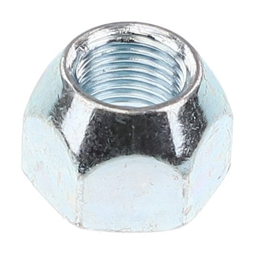 AGCO | LUG NUT - AG334324