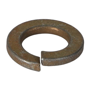 *SPECIAL PRICE* - AGCO Spring Washer Reliable Fastening Solution for Equipment | AG-339369X1