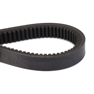 Close-up of an AGCO | BELT - D41981200 black rubber timing belt with teeth on the inner surface, partially coiled against a white background.