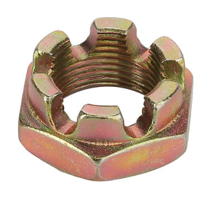 Close-up of the AGCO | CASTLE NUT - D41049000, a metallic nut with six slots around its circumference, utilized for securing bolts and preventing loosening. This product is manufactured by AGCO. No current product description information is available.