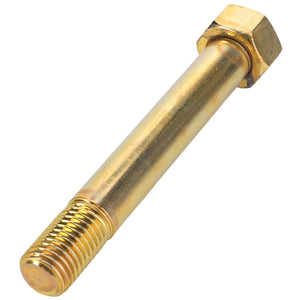 AGCO | Bolt - Acp0026010 - Farming Parts