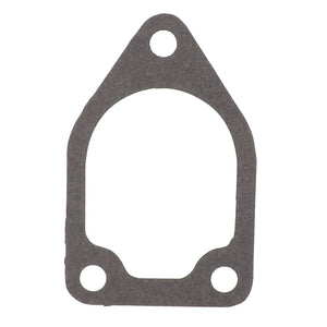 A close-up view of the AGCO | GASKET - 10V6829, featuring a flat, gray design with an oval center hole, two smaller circular holes at the bottom, and one at the top. For more details on this item or for ordering assistance, please refer to our product description or contact our support team.