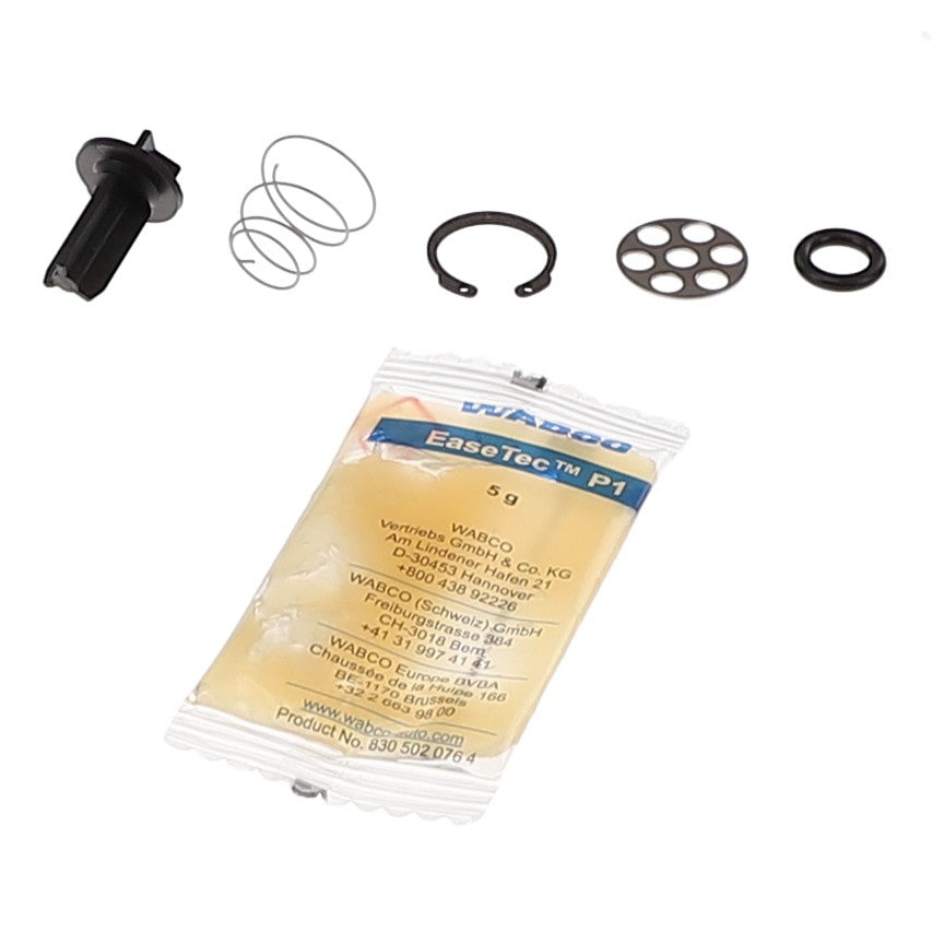 An AGCO CHECK VALVE KIT - AG723386, featuring various small components such as a spring, washer, ring, and a plastic bag labeled with product details. No current product description is available.