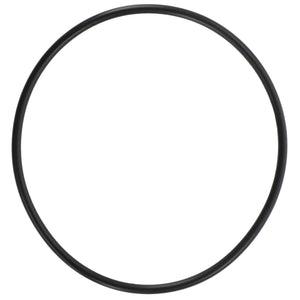 AGCO O-Ring Durable OEM Hydraulic & Engine Seal Component | 3909972M1