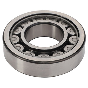 No Current Product Description Available: The AGCO | Cylindrical Radial Roller Bearing - 3003369X1, a high-quality bearing from AGCO, features a metal outer and inner ring, with several cylindrical rollers arranged in two rows.