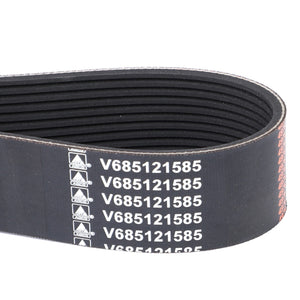 AGCO Serpentine Belt PK12 Profile for Optimal Performance | V685121585