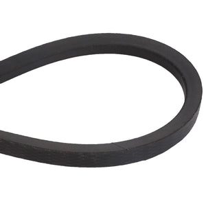 AGCO | BELT - D41931100