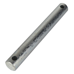 AGCO | Clevis Pin - Acp0018070 - Farming Parts