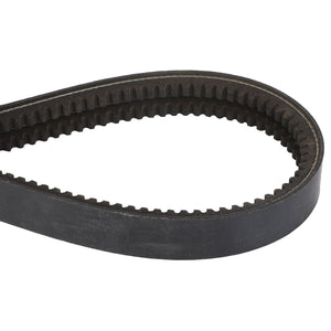 Close-up image of the AGCO | V BELT - D49030015, showing its black toothed inner surface designed for optimal grip and movement. No current product description information is available.