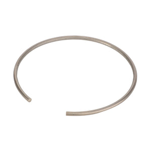 *SPECIAL PRICE* - AGCO Segment OEM Durable Seal for Massey Ferguson Tractors | 3903901M1