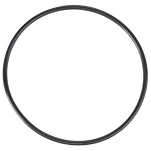 The image shows an AGCO O-Ring - 70923818, a black circular gasket used for sealing, compatible with Massey Ferguson Models.