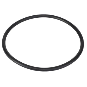 A black rubber O-ring against a white background, identified as the AGCO | GASKET - AG428430 by the brand AGCO, with no current product description information available.