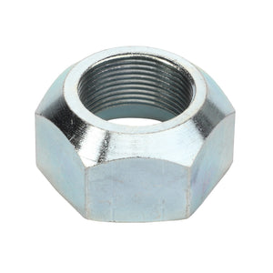 AGCO | Nut | AG-1695079M1