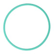 A plain green circle with a thin border, reminiscent of genuine o-ring seals like the AGCO O-Ring (Ø 78.97 X 3.53 mm - X548963400000), centered on a white background.