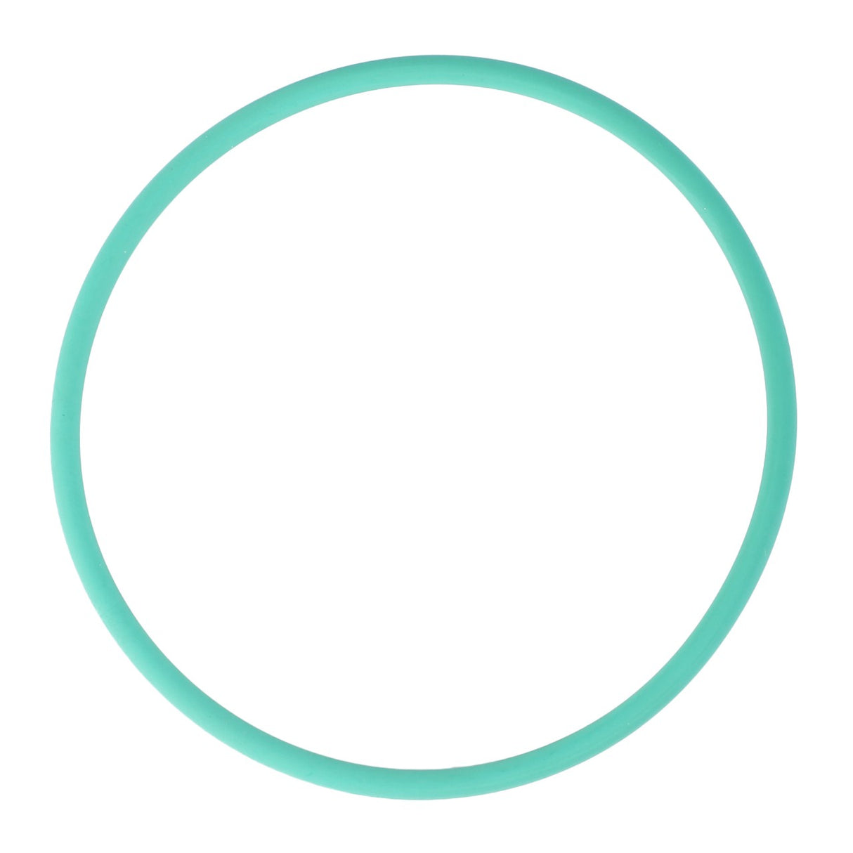 A plain green circle with a thin border, reminiscent of genuine o-ring seals like the AGCO O-Ring (Ø 78.97 X 3.53 mm - X548963400000), centered on a white background.