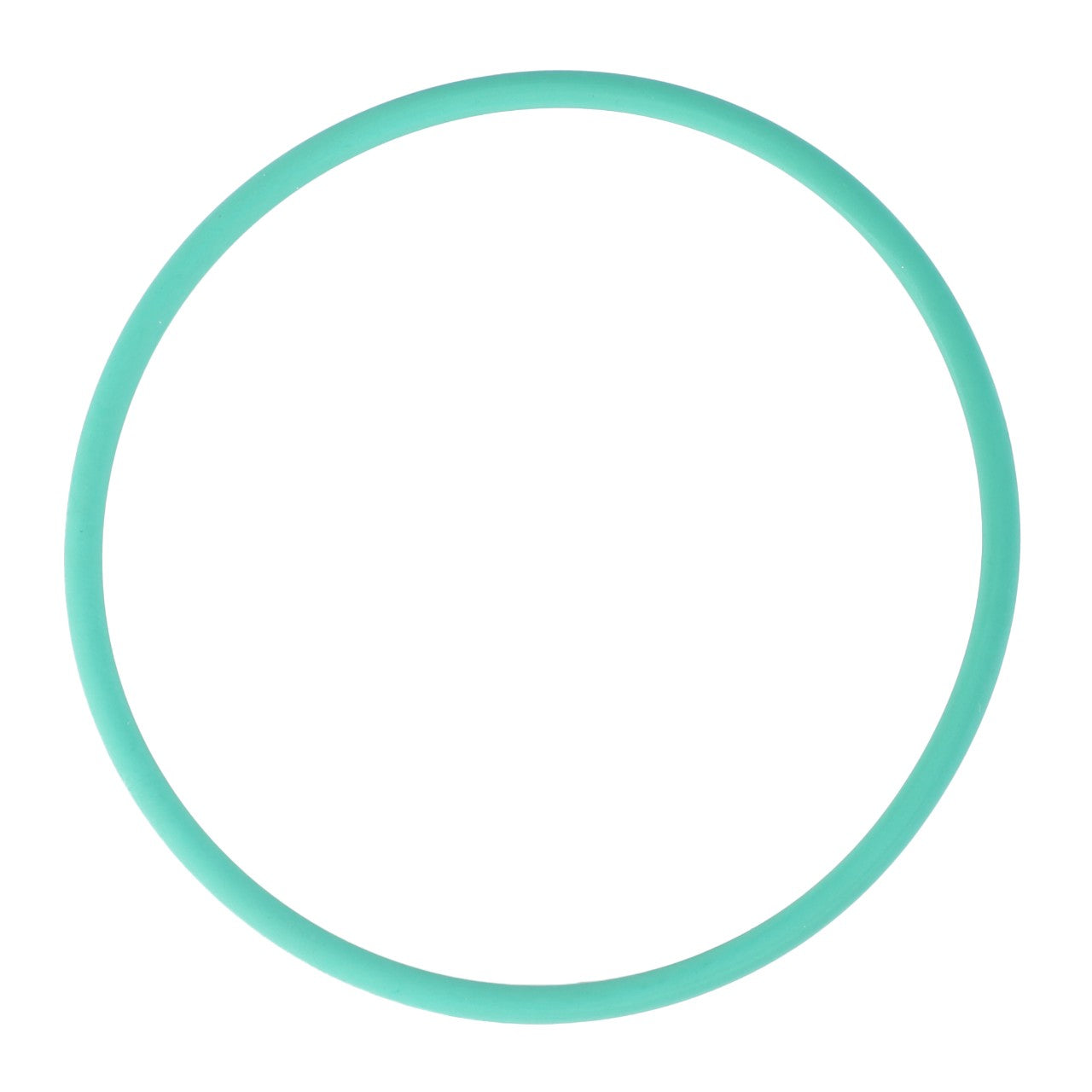 A plain green circle with a thin border, reminiscent of genuine o-ring seals like the AGCO O-Ring (Ø 78.97 X 3.53 mm - X548963400000), centered on a white background.