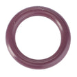 A round, purple rubber O-ring on a white background, representing the genuine AGCO O-Ring, Compressor - F117551030010 used in Fendt Models for high-performance parts.